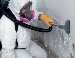 Best Mold Prevention Services  in Exandria, AL